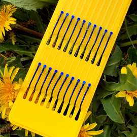 互联网销售的发展与未来展望